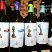 Degustare specială, într-un regal al vinurilor prezente la VINVEST 2019 (14)