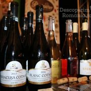 Degustare specială, într-un regal al vinurilor prezente la VINVEST 2019 (15)