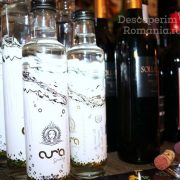 Degustare specială, într-un regal al vinurilor prezente la VINVEST 2019 (9)