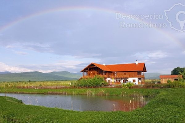 Pensiunea Laleaua Pestita din Orheiu Bistritei