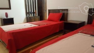 Cazare-la-Pensiunea-Laleaua-Pestita-din-Orheiul-Bistritei-Cazare-Orheiul-Bistritei-DescoperimRomania-15-300x169 Cazare la Pensiunea Laleaua Pestita din Orheiul Bistritei - Cazare Orheiul Bistritei - DescoperimRomania (15)