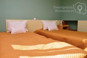 Cazare-la-Pensiunea-Valea-Lupului-din-Valea-Lupului-Muntenia-DescoperimRomania-18-300x200 Cazare la Pensiunea Valea Lupului din Valea Lupului - Muntenia - DescoperimRomania (18)
