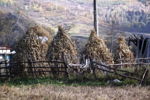 Cazare-la-Pensiunea-Valea-Lupului-din-Valea-Lupului-Muntenia-DescoperimRomania-32-300x200 Cazare la Pensiunea Valea Lupului din Valea Lupului - Muntenia - DescoperimRomania (32)