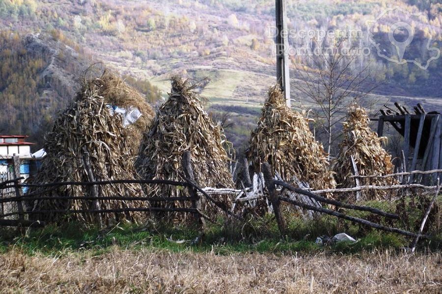 Pensiunea Valea Lupului din Valea Lupului