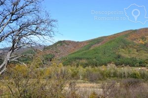 Cazare-la-Pensiunea-Valea-Lupului-din-Valea-Lupului-Muntenia-DescoperimRomania-4-300x200 Cazare la Pensiunea Valea Lupului din Valea Lupului - Muntenia - DescoperimRomania (4)