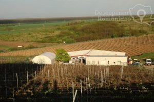VINVEST-Degustări-speciale-și-vinuri-produse-la-Muntele-Athos-DescoperimRomania-12-300x200 VINVEST Degustări speciale și vinuri produse la Muntele Athos - DescoperimRomania (12)