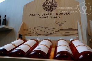 VINVEST-Degustări-speciale-și-vinuri-produse-la-Muntele-Athos-DescoperimRomania-3-300x200 VINVEST Degustări speciale și vinuri produse la Muntele Athos - DescoperimRomania (3)