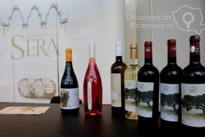 VINVEST-Degustări-speciale-și-vinuri-produse-la-Muntele-Athos-DescoperimRomania-6-300x200 VINVEST Degustări speciale și vinuri produse la Muntele Athos - DescoperimRomania (6)