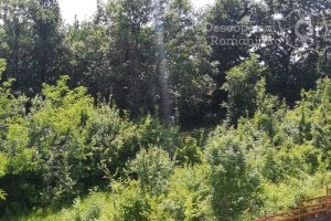 Cazare-la-Casa-Sarti-din-Eselnita-Cazare-Eselnitia-Cazare-Cazanele-Dunarii-DescoperimRomania-60-300x200 Cazare la Casa Sarti din Eselnita - Cazare Eselnitia - Cazare Cazanele Dunarii - DescoperimRomania (60)