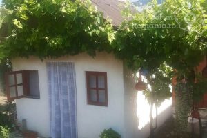 Cazare-la-Casa-de-vacanta-Andrei-din-Murighiol-Cazare-Murighiol-DescoperimRomania-14-300x200 Cazare la Casa de vacanta Andrei din Murighiol - Cazare Murighiol - DescoperimRomania (14)