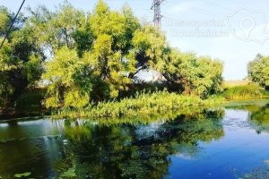 Cazare-la-Casa-de-vacanta-Andrei-din-Murighiol-Cazare-Murighiol-DescoperimRomania-15-300x200 Cazare la Casa de vacanta Andrei din Murighiol - Cazare Murighiol - DescoperimRomania (15)
