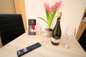 Cazare-la-Comfort-apartments-Timisoara-Apartament-Lotus-Cazare-in-Timisoara-DescoperimRomania.ro-11-300x200 Cazare la Comfort apartments Timisoara - Apartament Lotus - Cazare in Timisoara - DescoperimRomania.ro (11)
