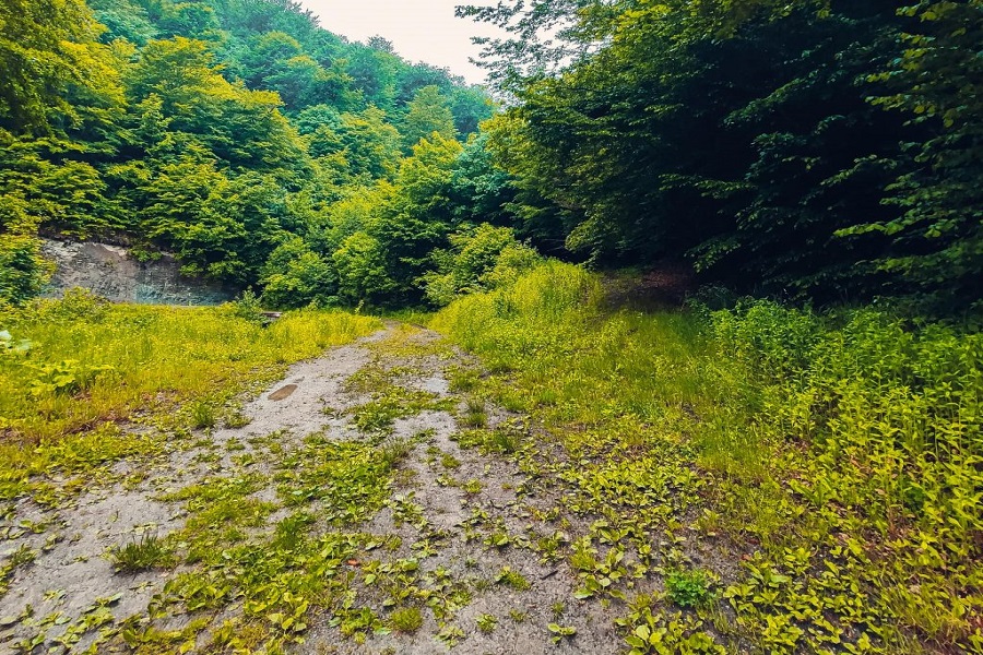 Lacul-Tarnita–si-a-undelor-poveste-Idei-de-calatorie-Cluj-DescoperimRomania.ro-5 Lacul Tarnița – și a undelor poveste