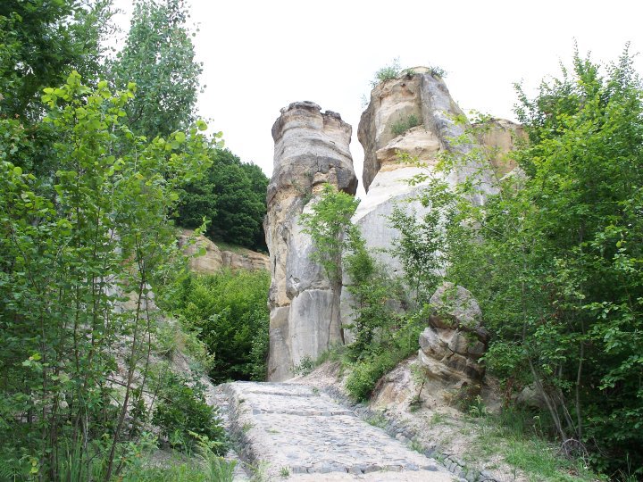 Rezervatia-Gradina-Zmeilor-–-templu-al-naturii-DescoperimRomania.ro-3 Rezervaţia Grădina Zmeilor – templu al naturii