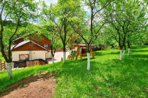 Cazare-la-Conacul-Transilvan-din-Margau-Cazare-Margau-Muntii-Apuseni-DescoperimRomania.ro-11-min-300x200 Cazare la Conacul Transilvan din Margau - Cazare Margau - Muntii Apuseni - DescoperimRomania.ro (11)-min