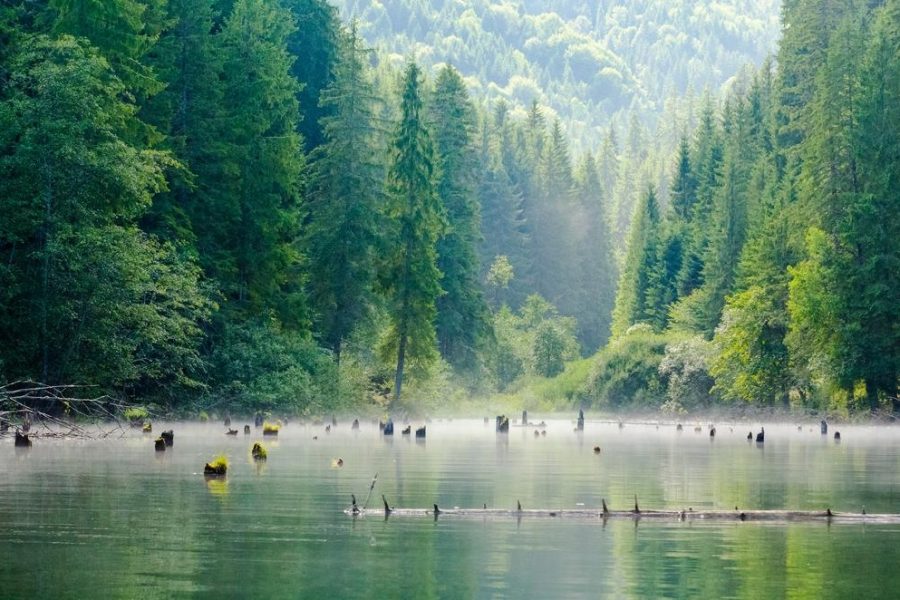 Cazare Harghita Băi - DescoperimRomania.ro