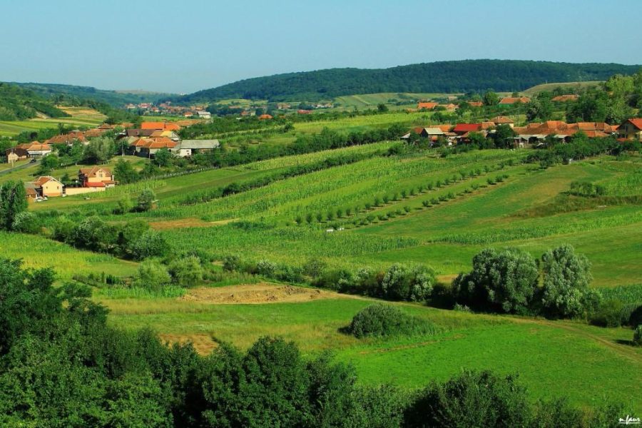 Cazare Hidișelu de Jos - www.DescoperimRomania.ro