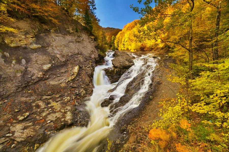 Cazare Lepșa - www.DescoperimRomania.ro