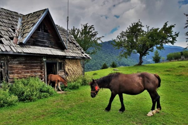 Cazare Magura - www.DescoperimRomania.ro