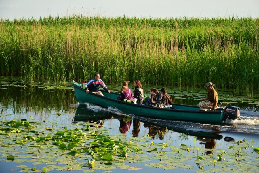 Cazare Maliuc - www.DescoperimRomania.ro