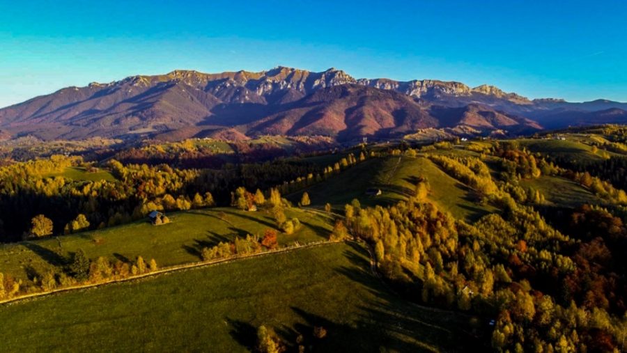 Cazare-Moieciu-de-Jos-DescoperimRomania.ro_-900x507 Cazare Moieciu de Jos - DescoperimRomania.ro