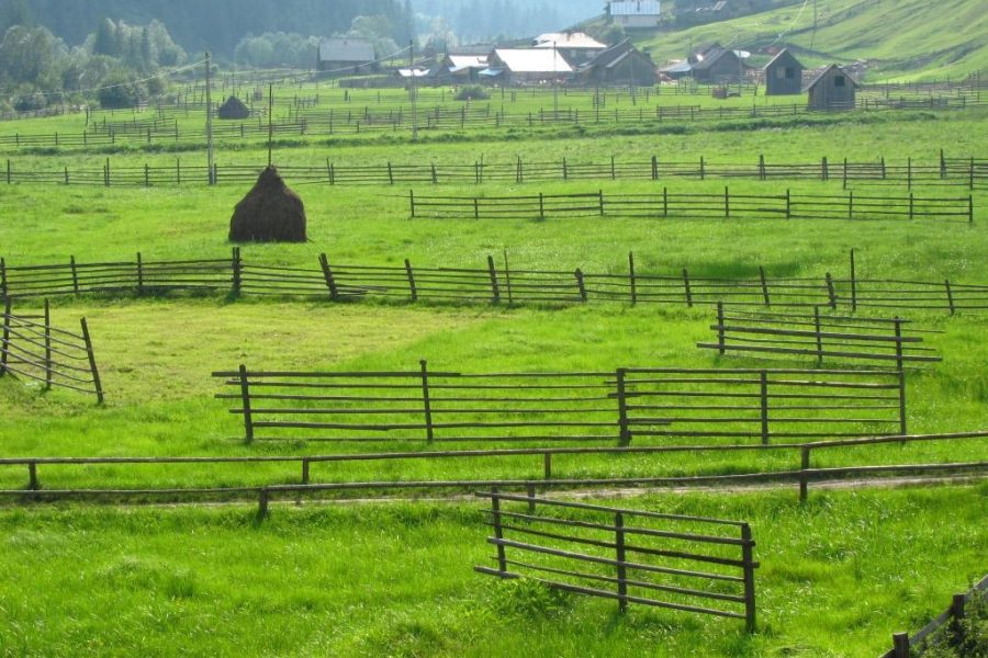 Cazare Panaci - DescoperimRomania.ro