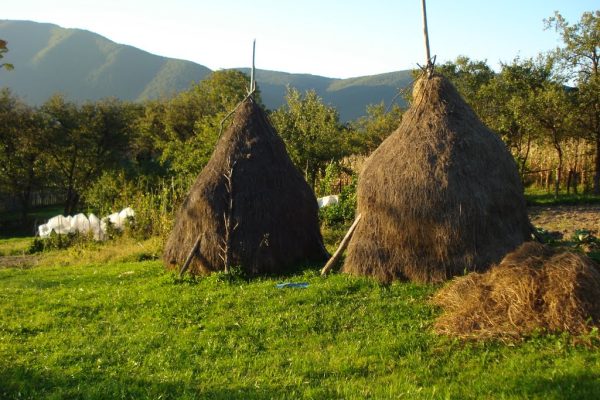 Cazare Paucinești - www.DescoperimRomania.ro