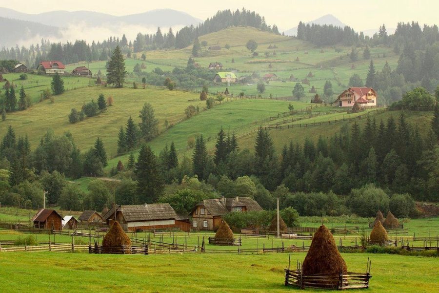 Cazare Poiana Negri - www.DescoperimRomania.ro