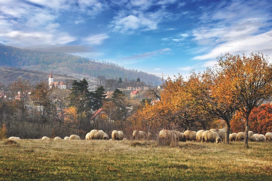 Cazare Sadu - www.DescoperimRomania.ro