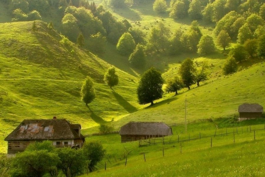 Cazare Șirnea - www.DescoperimRomania.ro