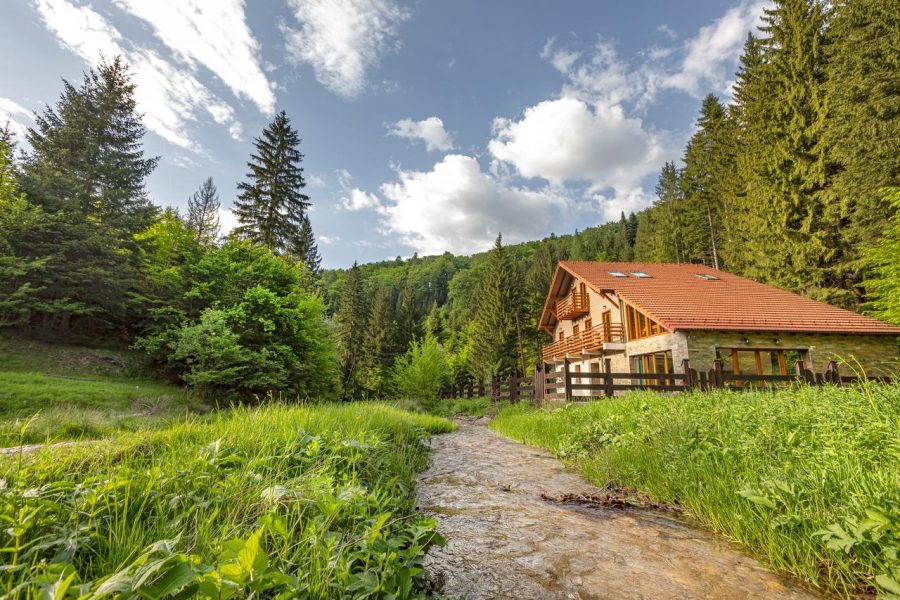 Cazare-Timisu-de-Jos-www.DescoperimRomania.ro_-900x600 Cazare Timișu de Jos - www.DescoperimRomania.ro