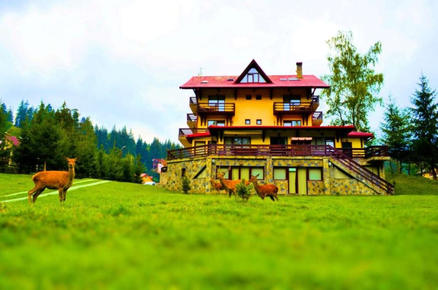 Cazare-Timisu-de-Sus-www.DescoperimRomania.ro_-900x596 Cazare Timișu de Sus - www.DescoperimRomania.ro