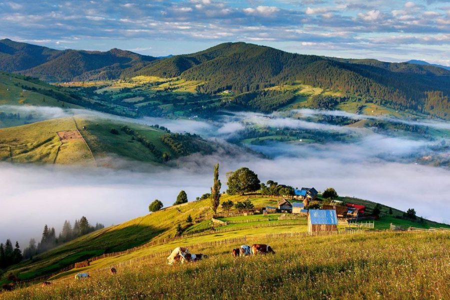 Cazare Vatra Moldoviței - www.DescoperimRomania.ro