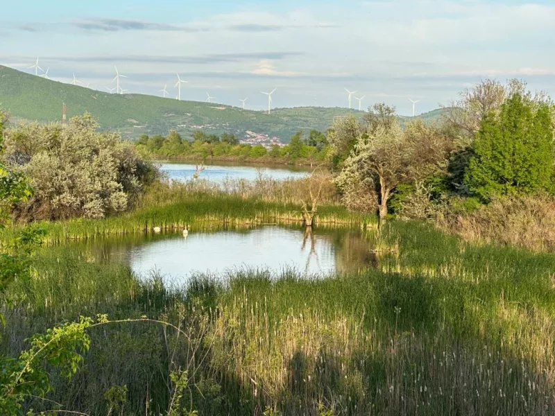 Insula-Ostrov-paradis-al-aventurii-si-al-relaxarii-https___www.descoperimromania.ro_-1-800x600 Insula Ostrov - paradis al aventurii și al relaxării