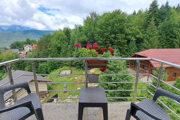Hotel-Carpat-Inn-Azuga.-Locul-in-care-ospitalitatea-se-construieste-prin-investitii-continue-Claudiu-Vatau-DescoperimRomania-29-600x400 Hotel Carpat Inn Azuga. Locul în care ospitalitatea se construiește prin investiții continue