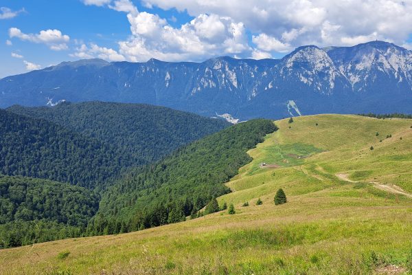 Telegondola-din-Azuga-–-cat-dureaza-urcarea-ce-gasesti-pe-Varful-Sorica-si-de-ce-merita-experienta-in-orice-anotimp-1-600x400 Telegondola din Azuga – cât durează urcarea, ce găsești pe Vârful Sorica și de ce merită experiența în orice anotimp
