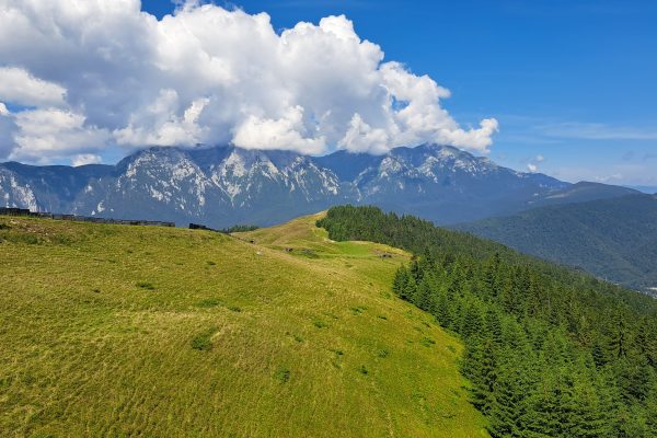 Telegondola-din-Azuga-–-cat-dureaza-urcarea-ce-gasesti-pe-Varful-Sorica-si-de-ce-merita-experienta-in-orice-anotimp-3-600x400 Telegondola din Azuga – cât durează urcarea, ce găsești pe Vârful Sorica și de ce merită experiența în orice anotimp