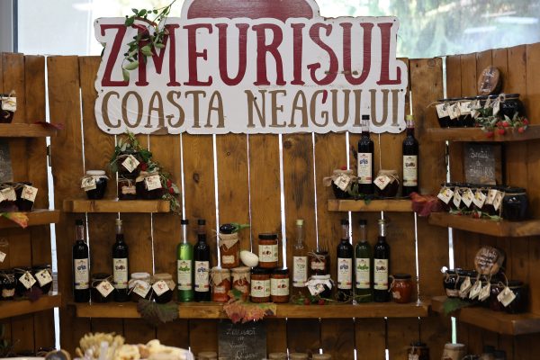 Gala-Turismului-„Descopera-Nord-Est-2026-patrimoniu-traditii-si-idei-pentru-viitorul-turismului-romanesc-13-600x400 Gala Turismului „Descoperă Nord-Est” 2026: patrimoniu, tradiții și idei pentru viitorul turismului românesc