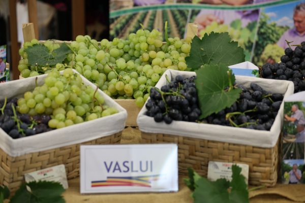 Gala-Turismului-„Descopera-Nord-Est-2026-patrimoniu-traditii-si-idei-pentru-viitorul-turismului-romanesc-14-600x400 Gala Turismului „Descoperă Nord-Est” 2026: patrimoniu, tradiții și idei pentru viitorul turismului românesc