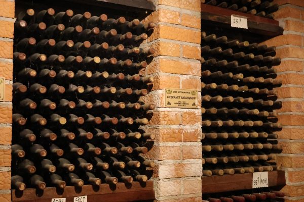 Gala-Turismului-„Descopera-Nord-Est-2026-patrimoniu-traditii-si-idei-pentru-viitorul-turismului-romanesc-25-600x400 Gala Turismului „Descoperă Nord-Est” 2026: patrimoniu, tradiții și idei pentru viitorul turismului românesc